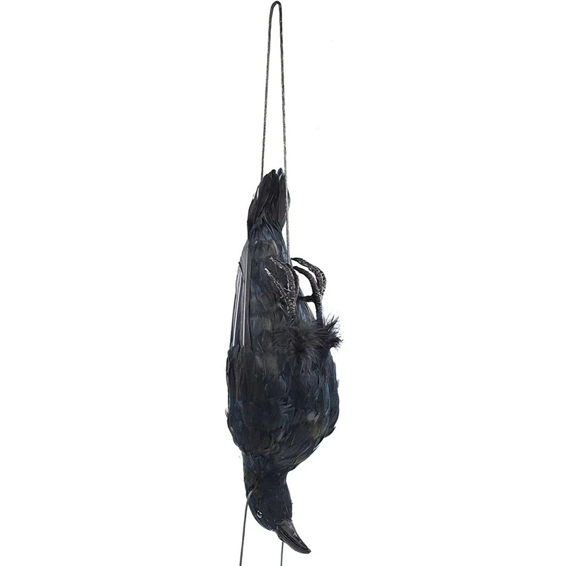 Realistic Hanging Dead Crow Decoy Lifesize Extra Large Black Feathered Crow