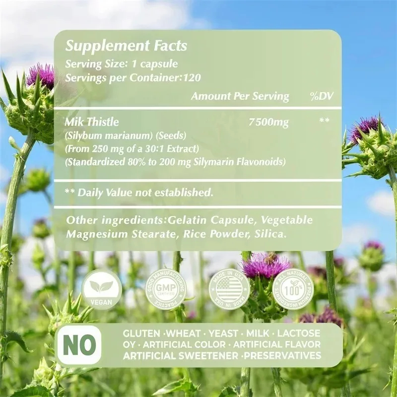 Milk Thistle - Cleanses and Detoxifies The Liver, Lowers Blood Lipids, and Maintains Healthy Liver Function