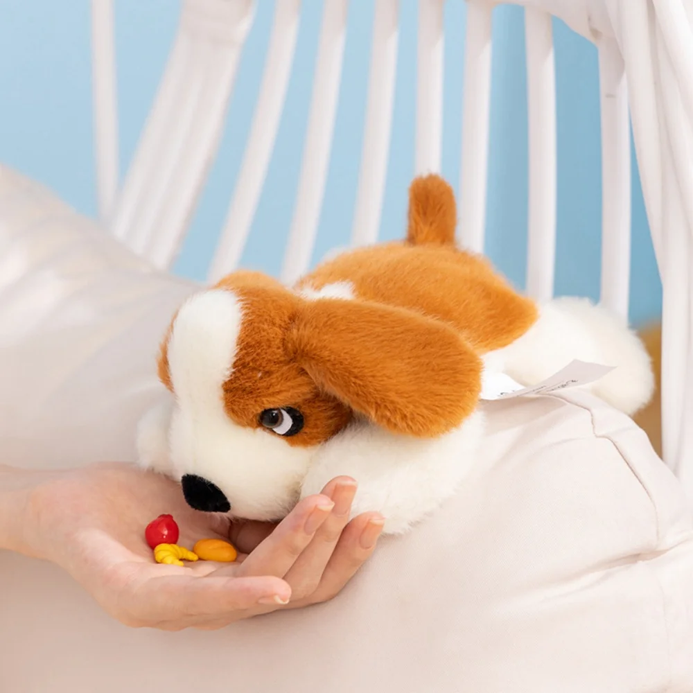 ตุ๊กตาสุนัขพันธุ์น่ารัก ตุ๊กตาการ์ตูนยืนนอน ตุ๊กตาสัตว์เลี้ยง ของเล่นสุนัขพันธุ์โกลเด้นรีทรีฟเวอร์ ชเนาเซอร์ บิชอง ของขวัญ