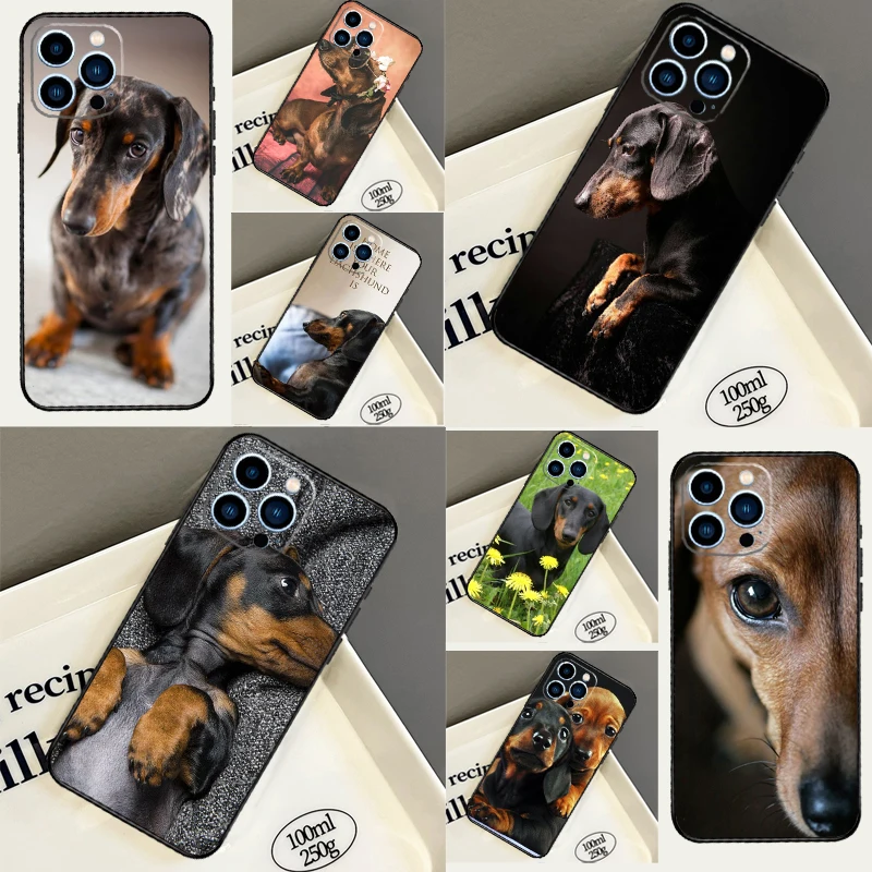 Teckel Dackel Dachshund Dog For Samsung Galaxy M13 M53 M06 M31 M11 M35 M55 M15 M56 M36 M16 M12 M32 M52 M14 M34 M54 Case