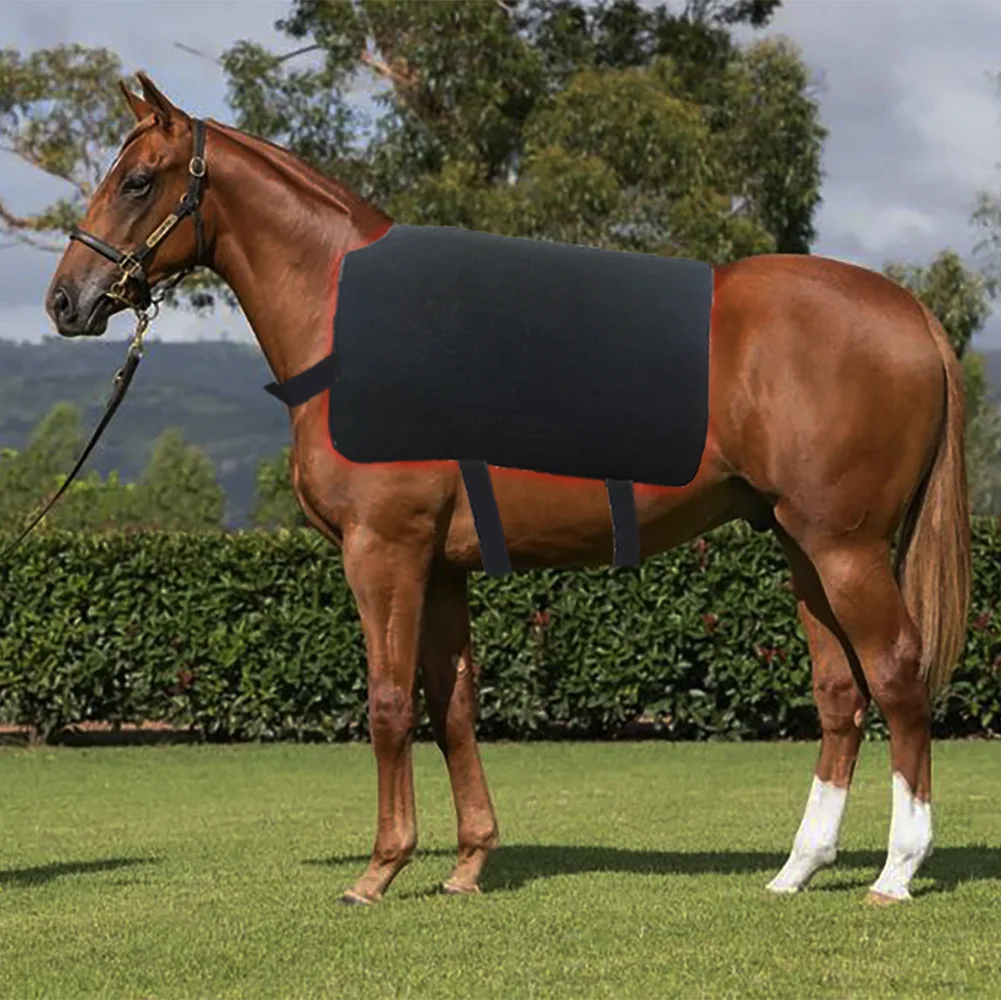 120W Medium Horse Back Red Light Therapy Pad Farm Stable Muscle Recovery Gear