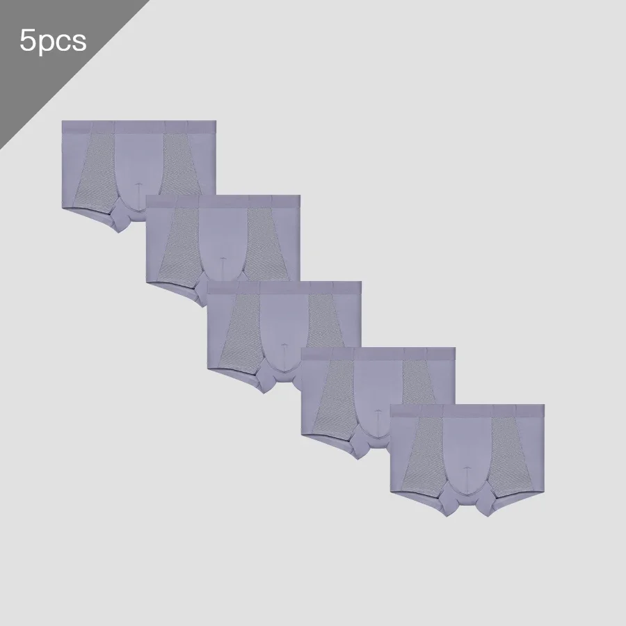 

5 шт. Мужские антибактериальные трусы из ледяного шелка, мужские дышащие сетчатые боксеры, летние тонкие спортивные боксеры для мальчиков