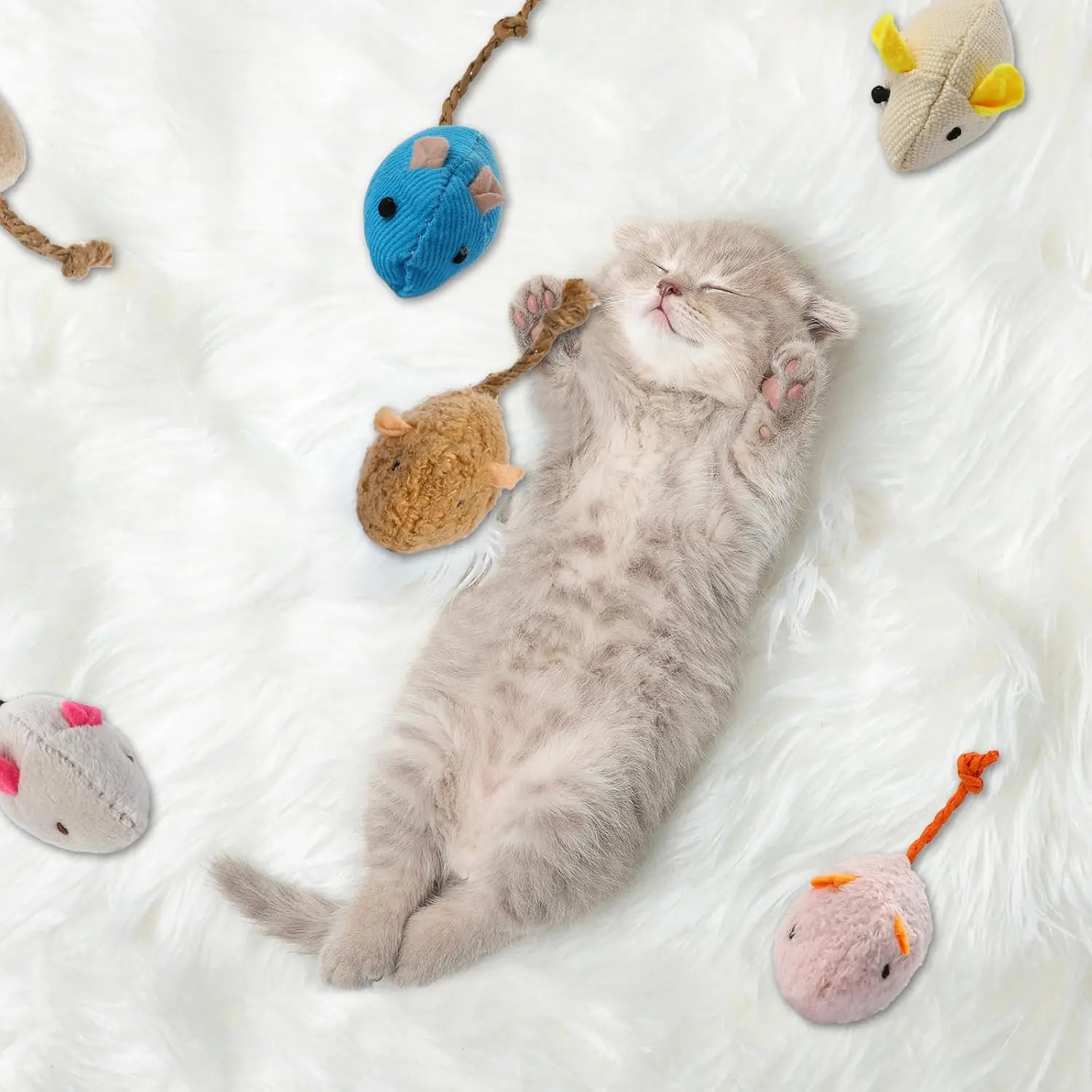 8 Zufällig verpackte interakti – Catnip Interactive Plush Mouse Bewertung und Preis