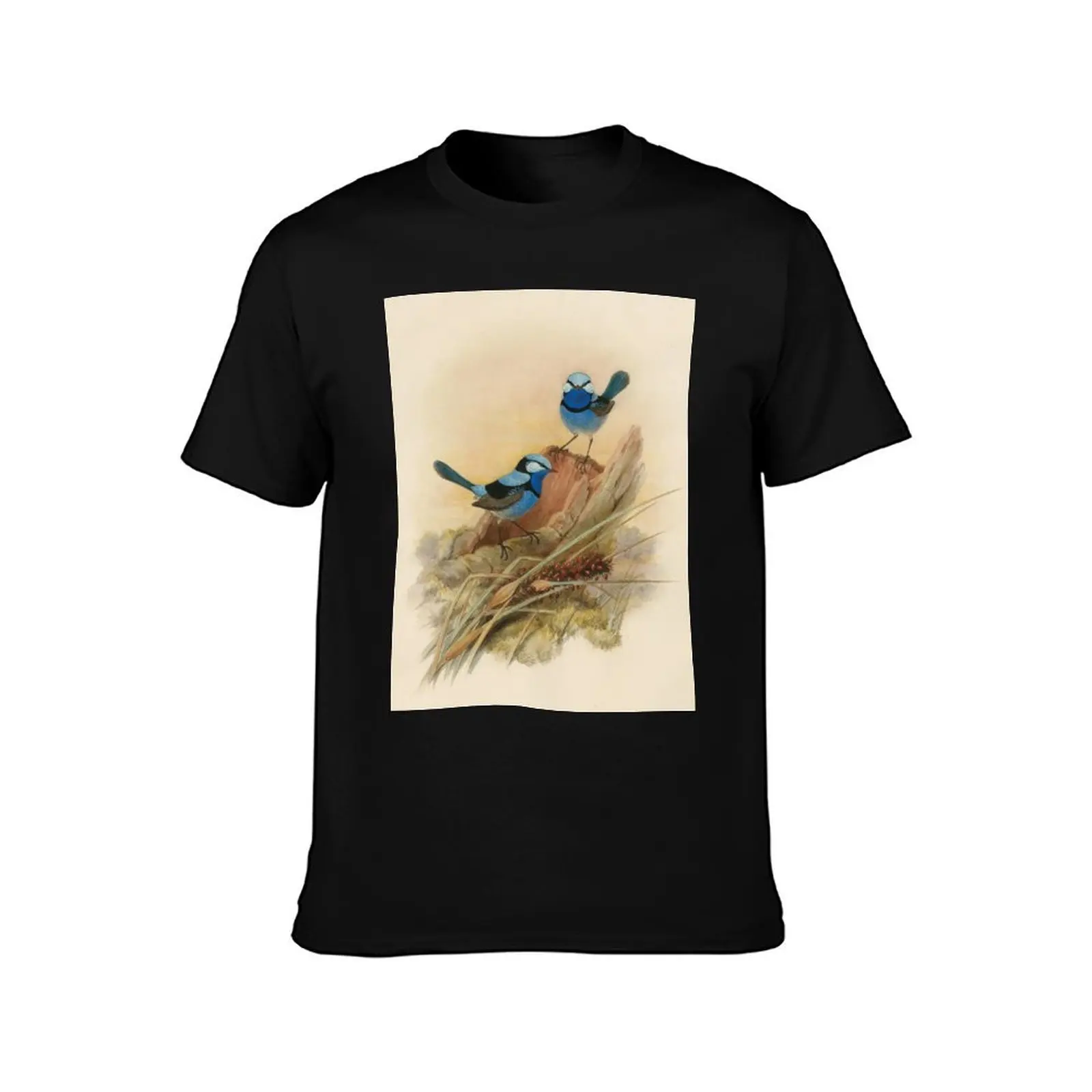 Splendid fairy wren, circa 1867 T-Shirt cotton graphic tees blanks mens designer t shirt