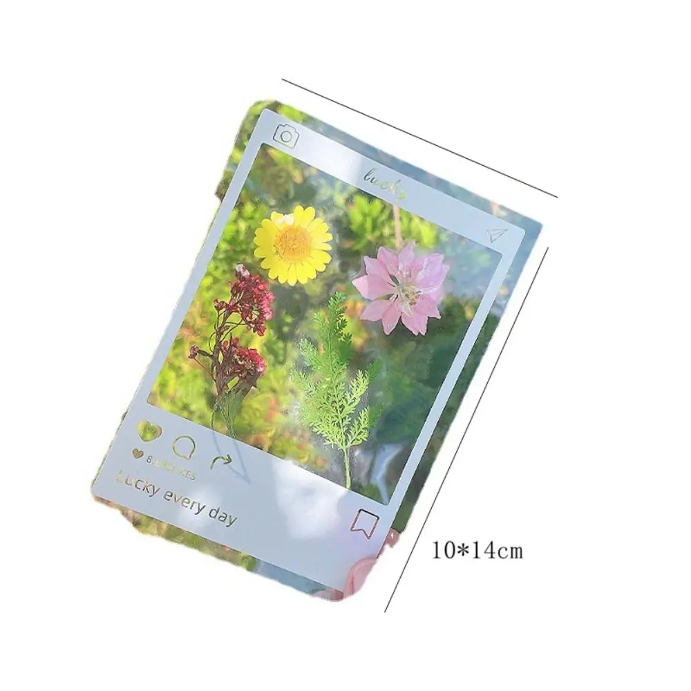 PET Decorative Stickers Transparent Bookmark Stickers Multipurpose Scrapbook Decor Stickers Set DIY Dried Flower Specimen
