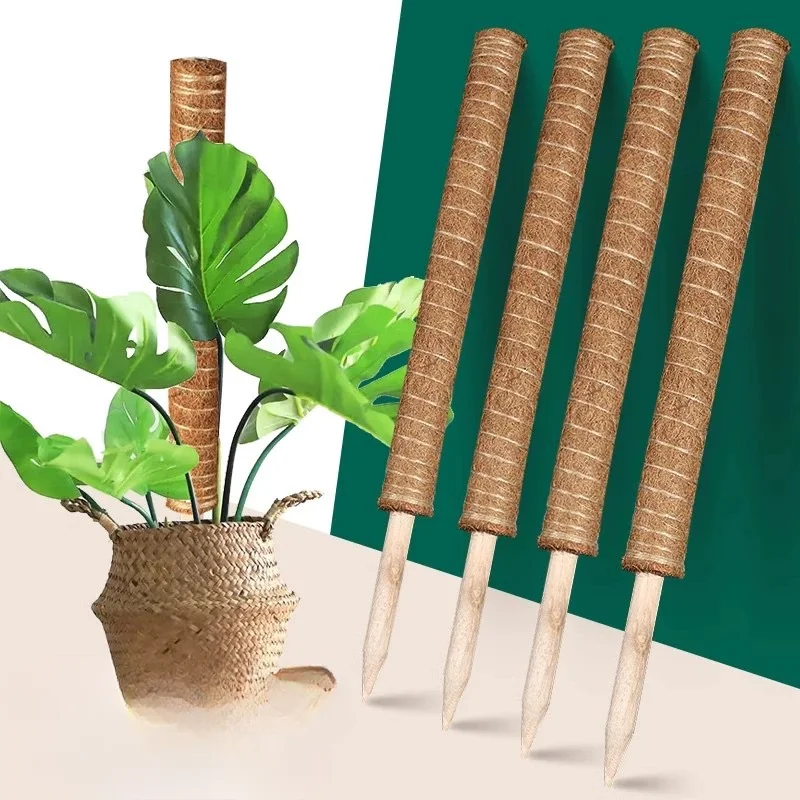 Green Basket Climbing Column Coconut Brown Rod Turtle Back Bamboo Support Rod Fixing Bracket