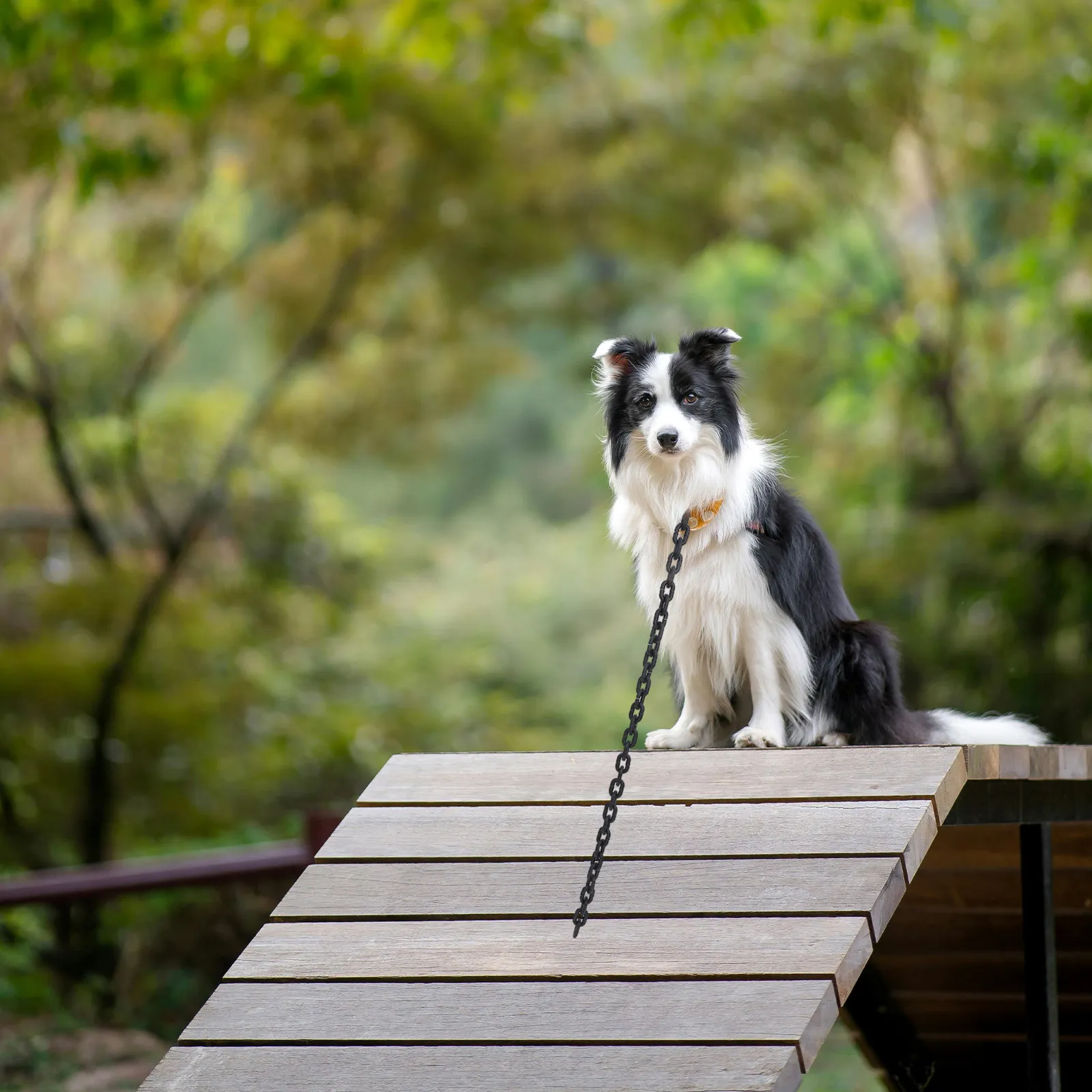 

Имитация большой собачьей цепи, пластиковая декоративная цепь для Хэллоуина, косплея, пиратских вечеринок, дома ужасов, аксессуар для питомцев, забавная цепь для собак