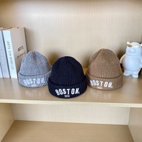 New children's hats autumn and winter baby warm thickened knit cap boys and girls wool cap super cute tide models