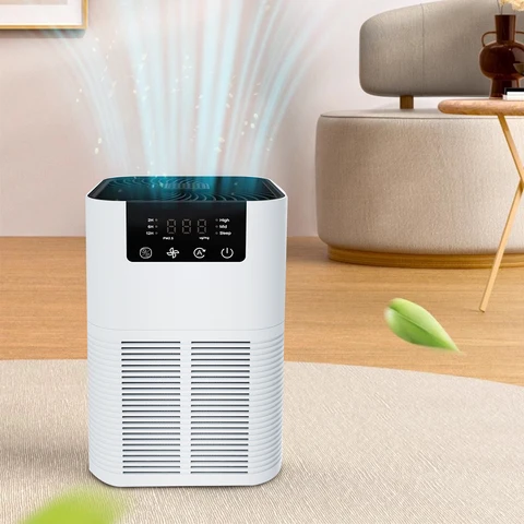 Household Negative Ion Air Purifier