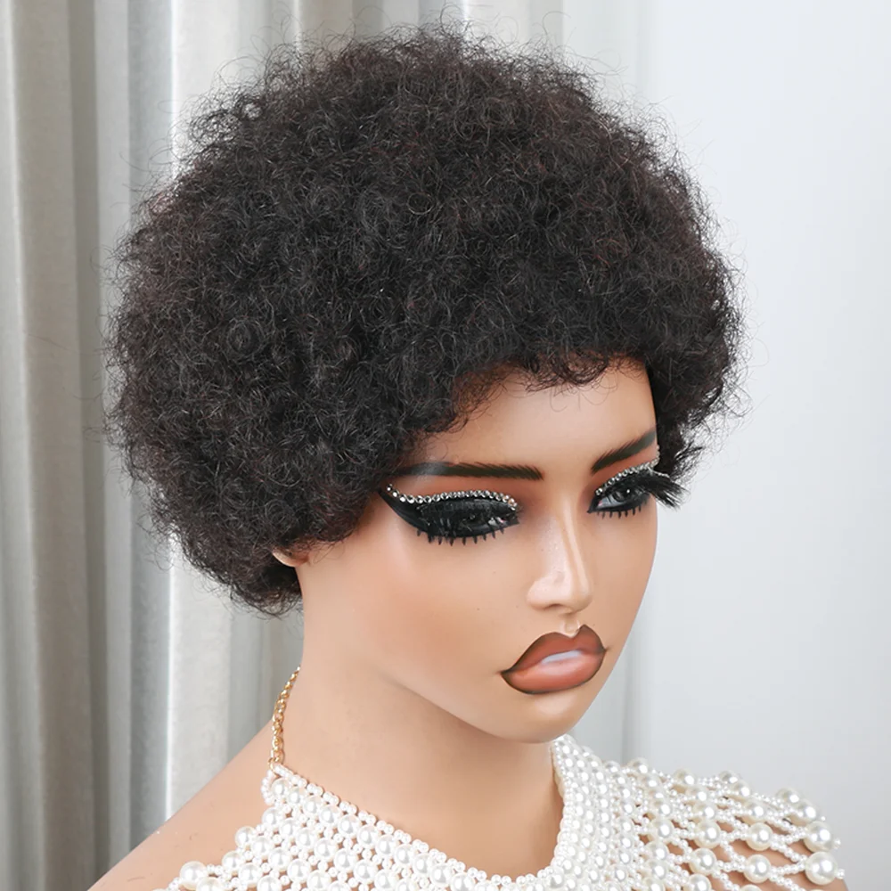 Afro Wigs for Women Afro Curly Wig for Daily Party Use Soft Natural Looking High Temperature Fiber Human Hair Afro Puff Wig