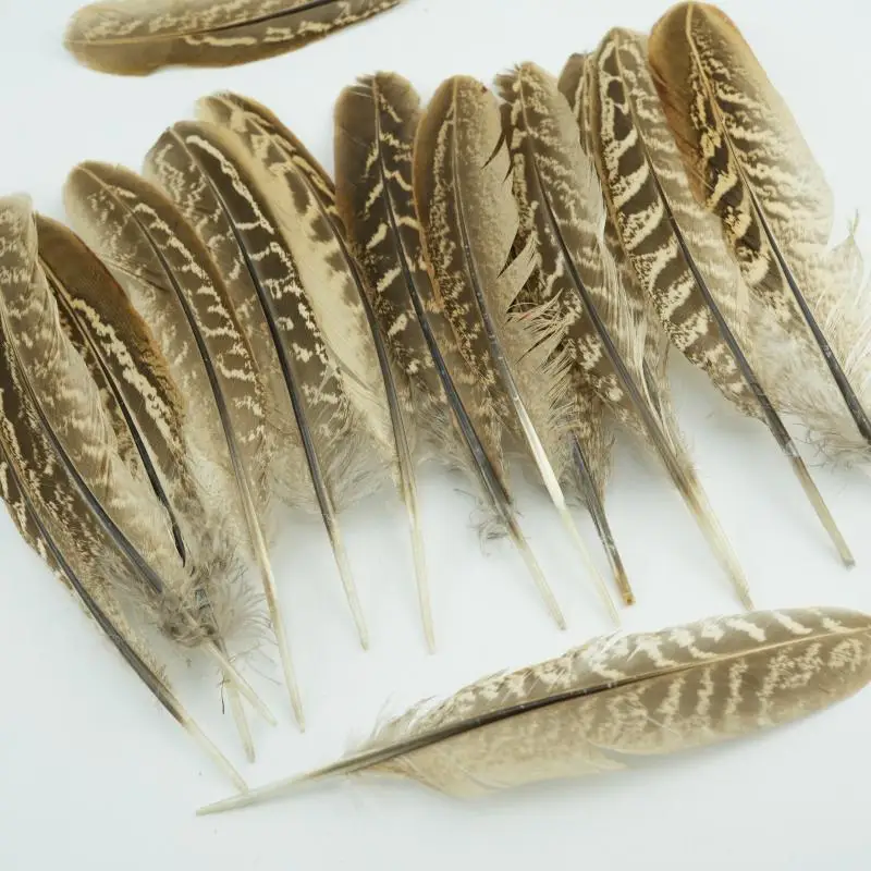 Penas de faisão naturais de 15-18cm para artesanato diy, acessórios de fantasia artesanais premium, amarração de mosca e decoração de casamento, suprimentos em massa