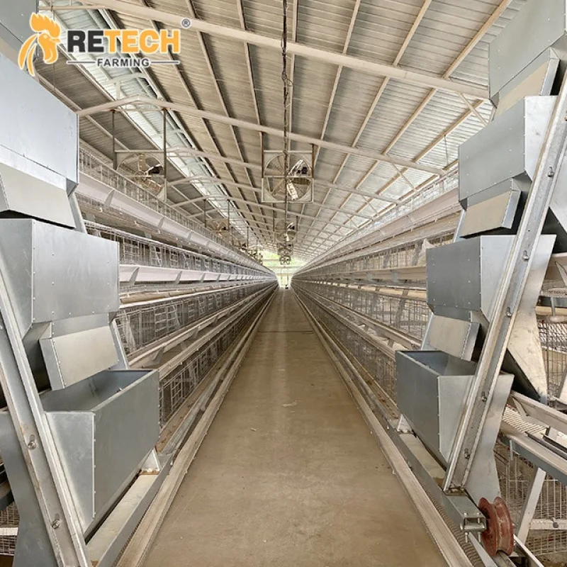 

A Type Layer House Poultry Farming Equipment Chicken Cage