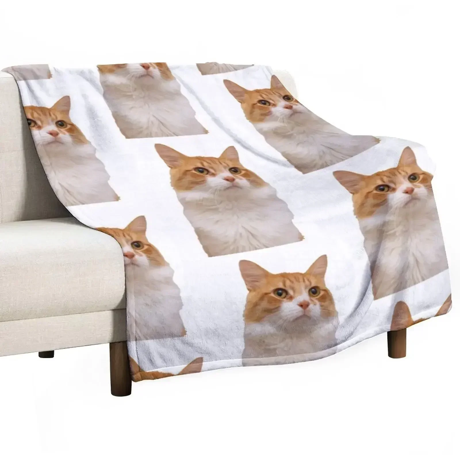

New Handsome Ginger Cat Throw Blanket Multi Use Warm Blanket for Living Room Bedroom