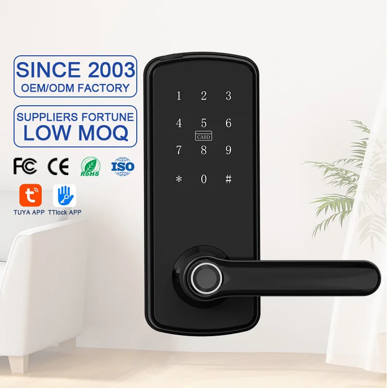 Smart Fingerprint Lock Handle Graffiti Bluetooth Smart Door Lock Password Lock