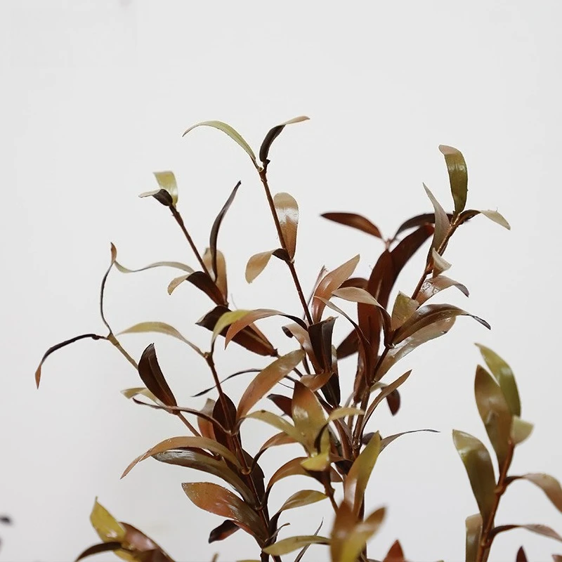 

Red simulated olive tree new decorative bonsai ornaments floor-standing fake green plant potted plants