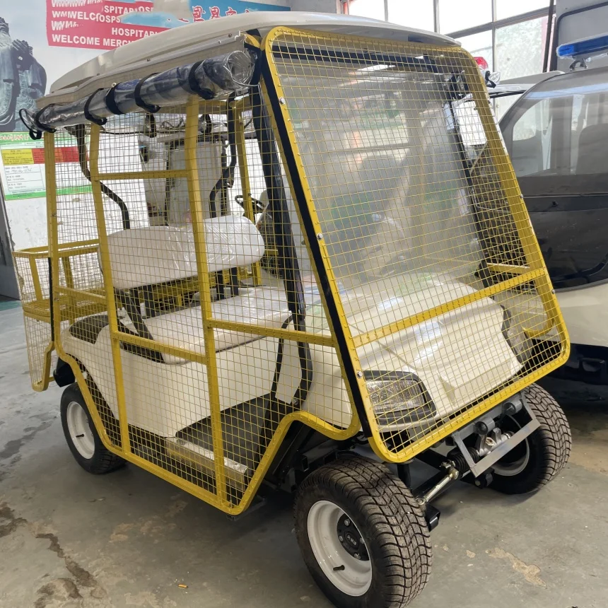 

Golf Course Mini Luxury Cheap 2 Passenger 2 Seater Electric Golf Cart For Golf Course With Ball Pickup Fence Aluminum Wheels