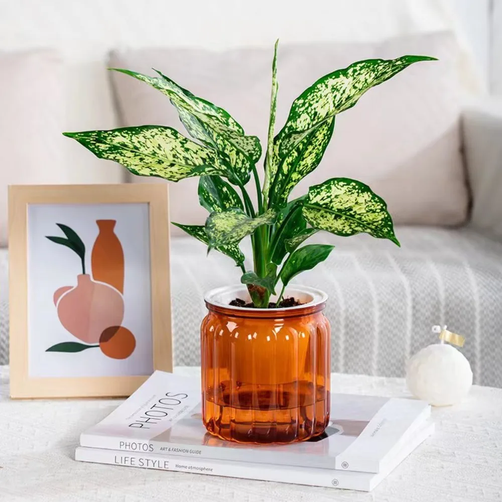 Creative Self Watering Hydroponic Plants Pot Plastic Removable Mini Succulent Planter Tabletop Vase Flowerpot
