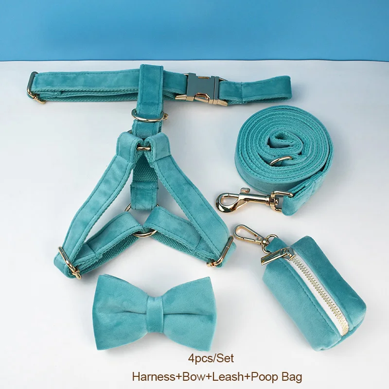 Conjunto de collar y correa de terciopelo turquesa con placa grabada_voghion.com