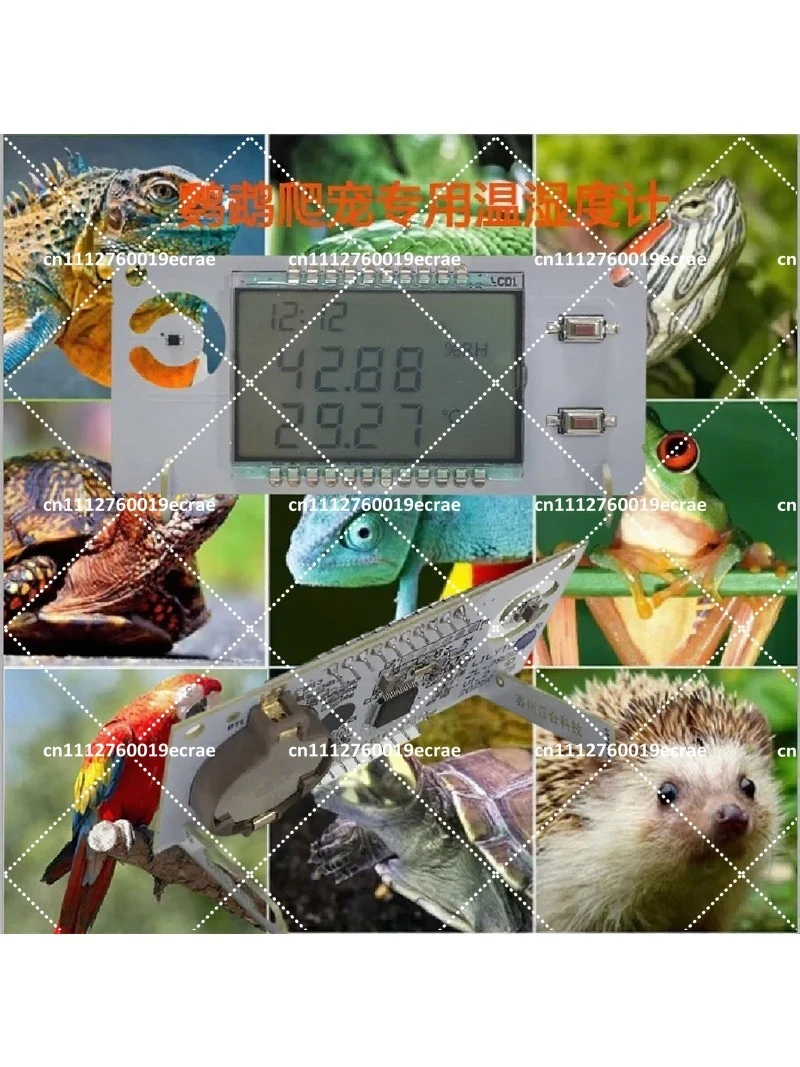 Parrot Incubator Thermometer High Precision Temperature Humidity Monitor Automatic Calibration for Pet Breeding