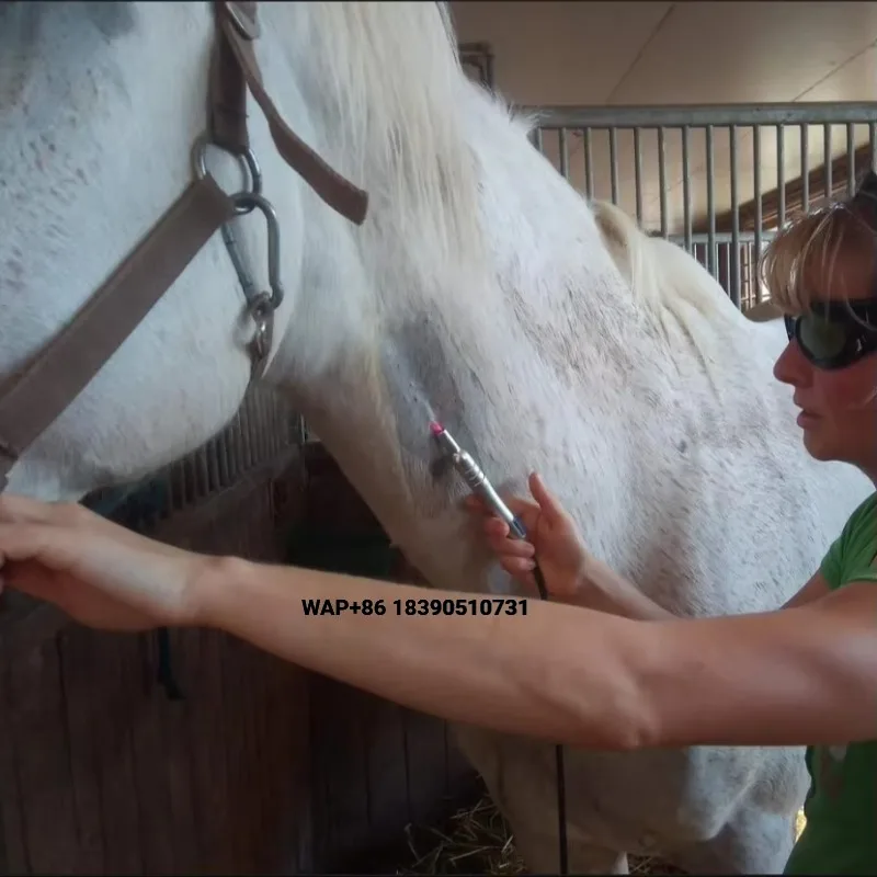 Large Animal Thermal Veterinary Instruments Horse Therapy Equipment Veterinary Animal Cutting