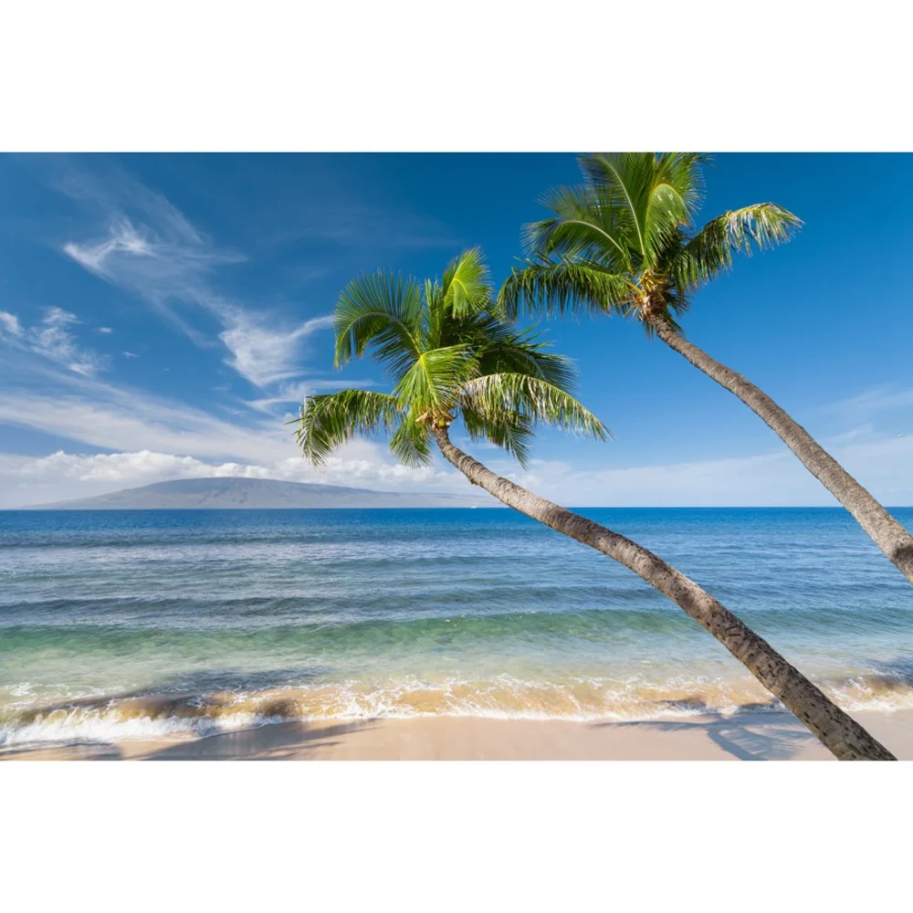 열대 야자수 해변 경치 좋은 사진 배경 푸른 하늘 파도 바다 여름 휴일 파티 장식, Photocall 사진 배경
