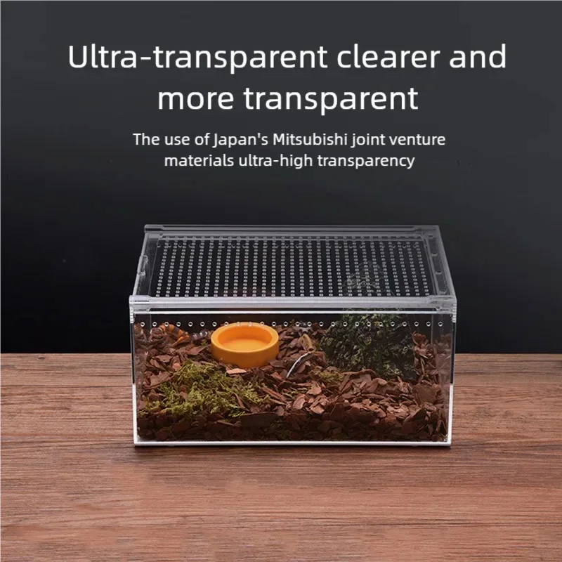 Acrylic Climbing Pet Feeding Box 4