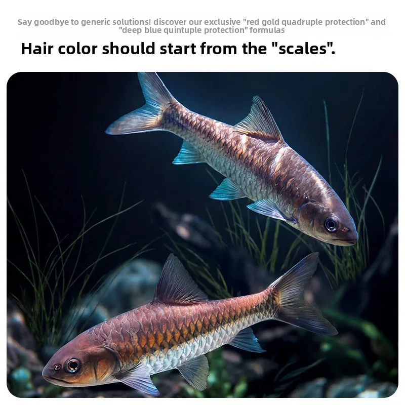 Yee Kelah (Mahseer) Color Enhancing Food, High Protein Formula for Blue & Golden Red Tor Tambroides, Floating/Sinking Pellets