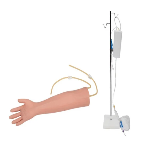 

Advanced Elderly Venous Puncture Training Arm Model Senior Venipuncture Simulator