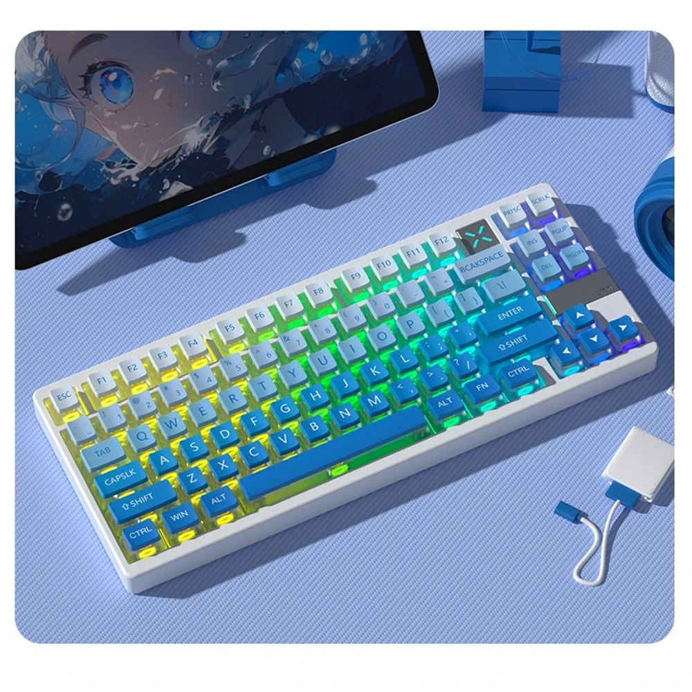 PBT Side-Printed Shine-Through Keycaps Four-Sided Translucent Cherry Profile Kawaii Pastel Pink Blue for Mechanical Keyboard