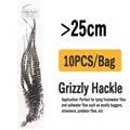 10pcs over 25cm