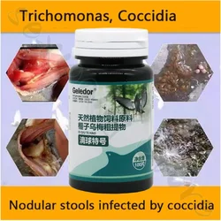 Trichomonas pigeon coccidia two-in-one infection nodular stool digestive disorders 100 tablets