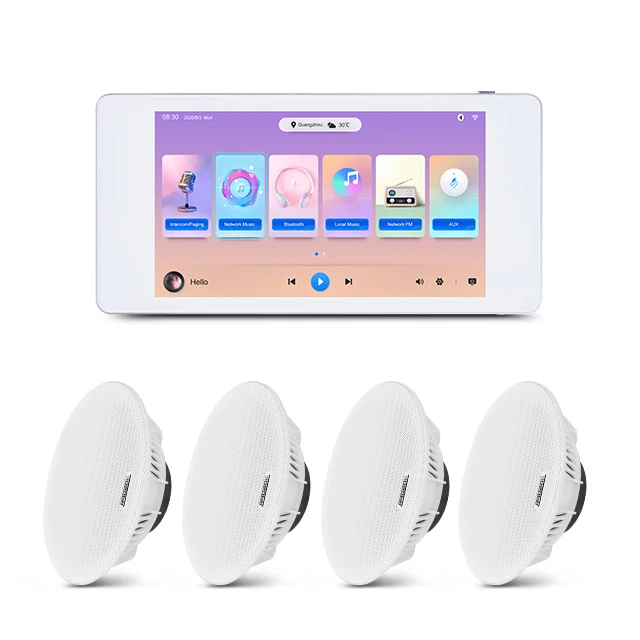 

5.5 Inch 2 Channel Wall Mounted Amplifier Touch Screen Wall Amplifier Smart Home Audio Wall Music Player