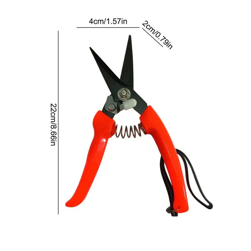 Imagem -06 - Cabra Sheep Hoof Aparar Tesouras Nail Clippers Sheep Arbusto Planta Poda Floral Cortar Tesouras Ferramentas de Tesoura de Jardim 22cm