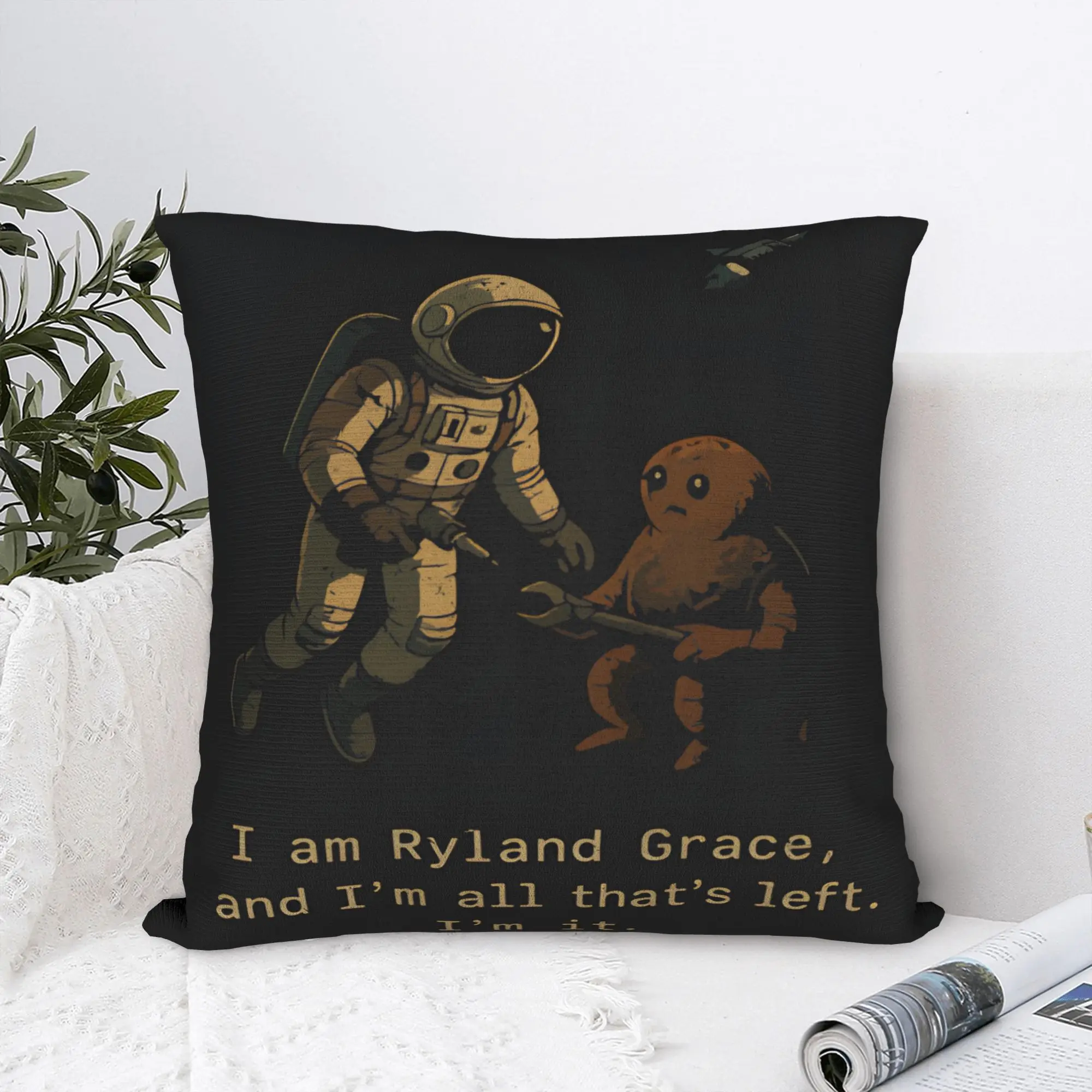 Project Hail Mary Andy Weir Book Lover Pillow Cover  Soft Cushion Cover Fashion Pillow Case For Wedding Party Home Decor