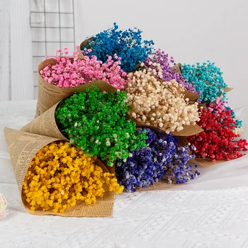 Baby Atem 20g Gypsophila Mini natürliche getrocknete Blumen Möbel Dekoration hält Blumenstrauß Fotografie Hintergrund Zubehör