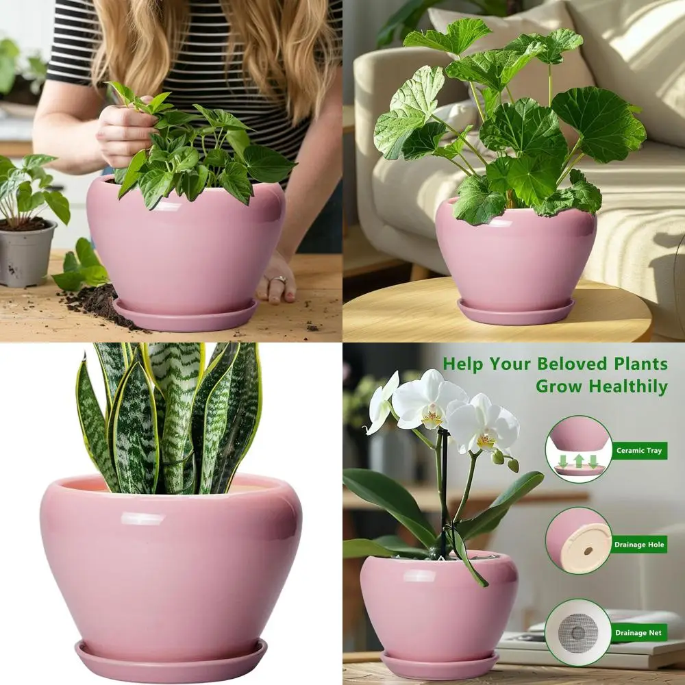 

8 Inch Round Glazed Succulent Planter Pot with Drainage and Saucer, Ideal for Indoor/Outdoor Plants, Pink