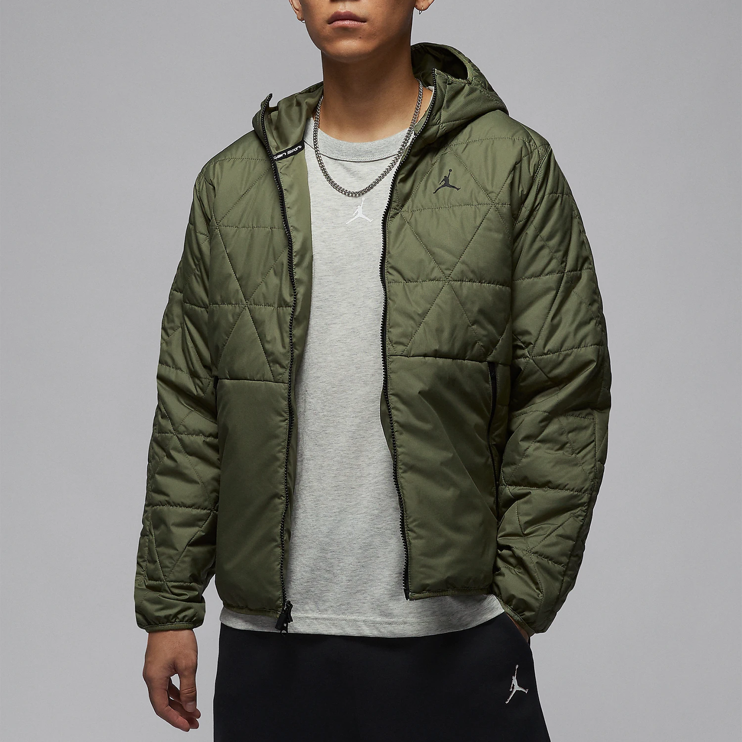 Мужская водоотталкивающая зимняя куртка Nike Jordan FZ3163-222