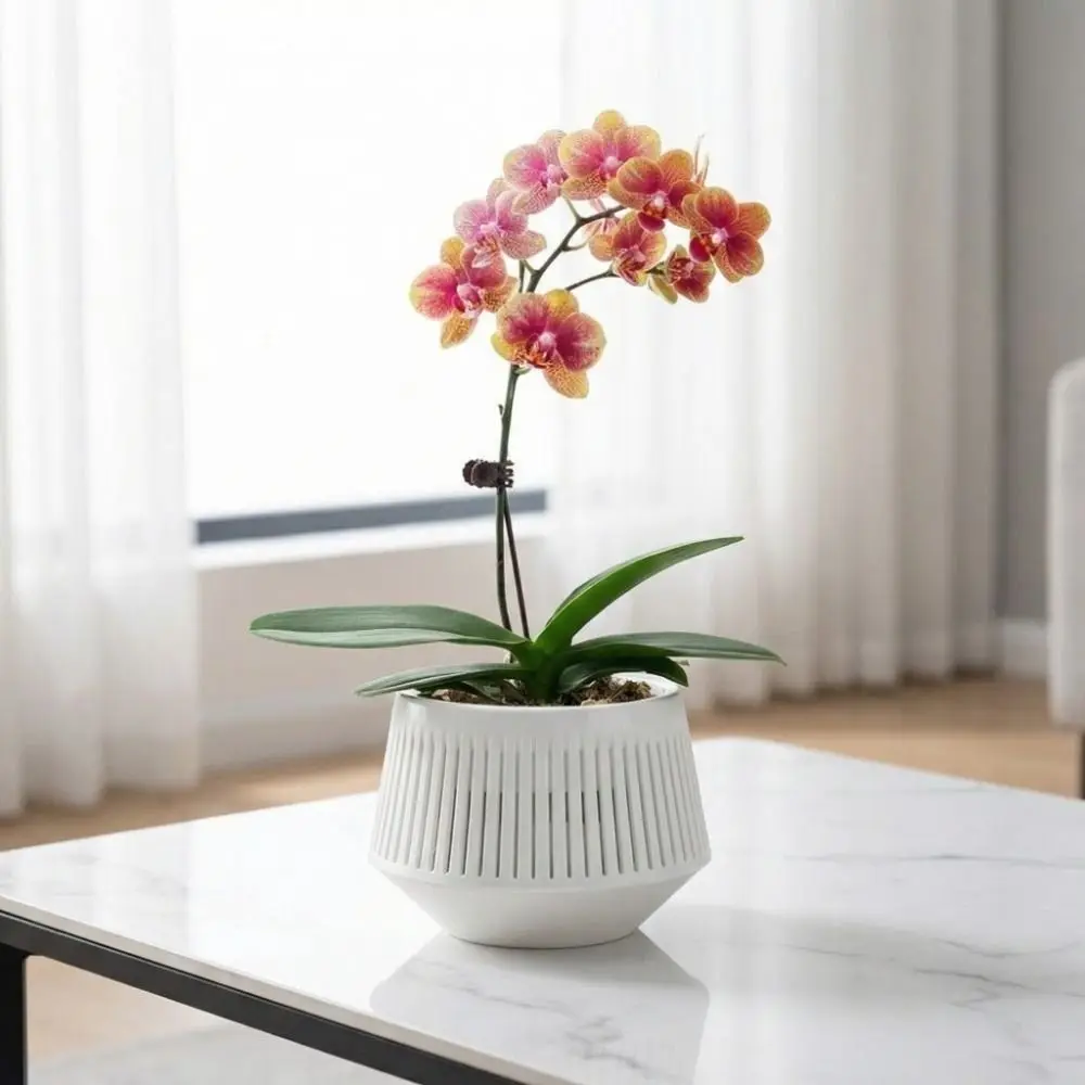 Split Type Meshpot Orchid Pot Thickening Moisturizing Root Control Flowerpot With Holes Growing Pots Gardening Planting