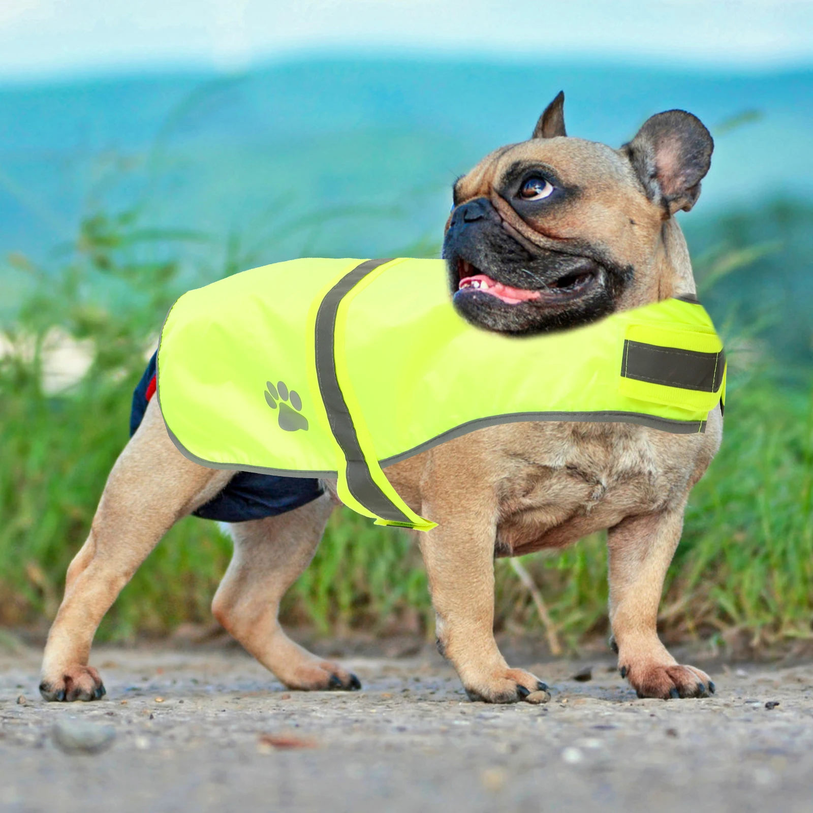 

Reflective Dog Vest Pet Safety Jacket Oxford Fabric High Visibility Clothes Adjustable Straps For Dogs Pet