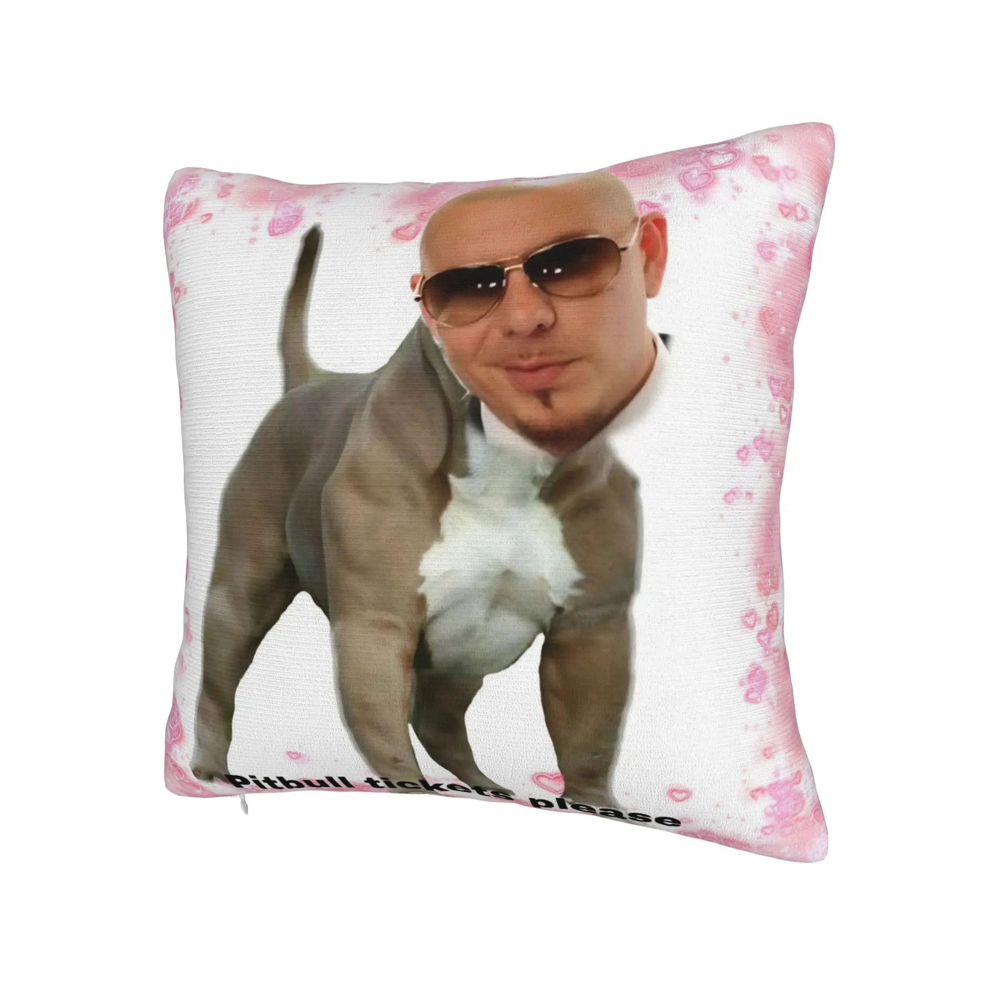 Singer Pitbull Tour 2026 Pillowcases Product Soft Cushion Cover Gift  Pillow Case Cover Home Multi-Size