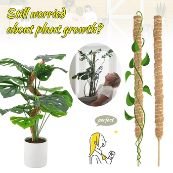 Rama do wspinaczki dla roślin Skorupa kokosowa Mech Trzcina palmowa Ogrodnictwo Pręt kokosowy Rozciągliwa roślina Wspinaczka Słup do roślin doniczkowych Creeper 1 sztuka