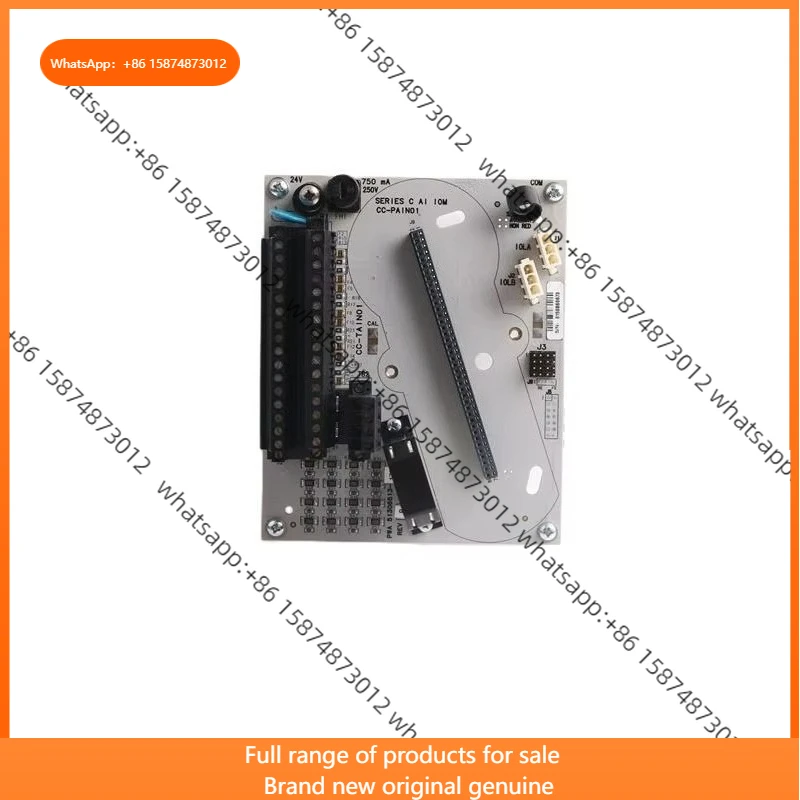 

CC-TAIN01 51306513-175 Analog Input Module