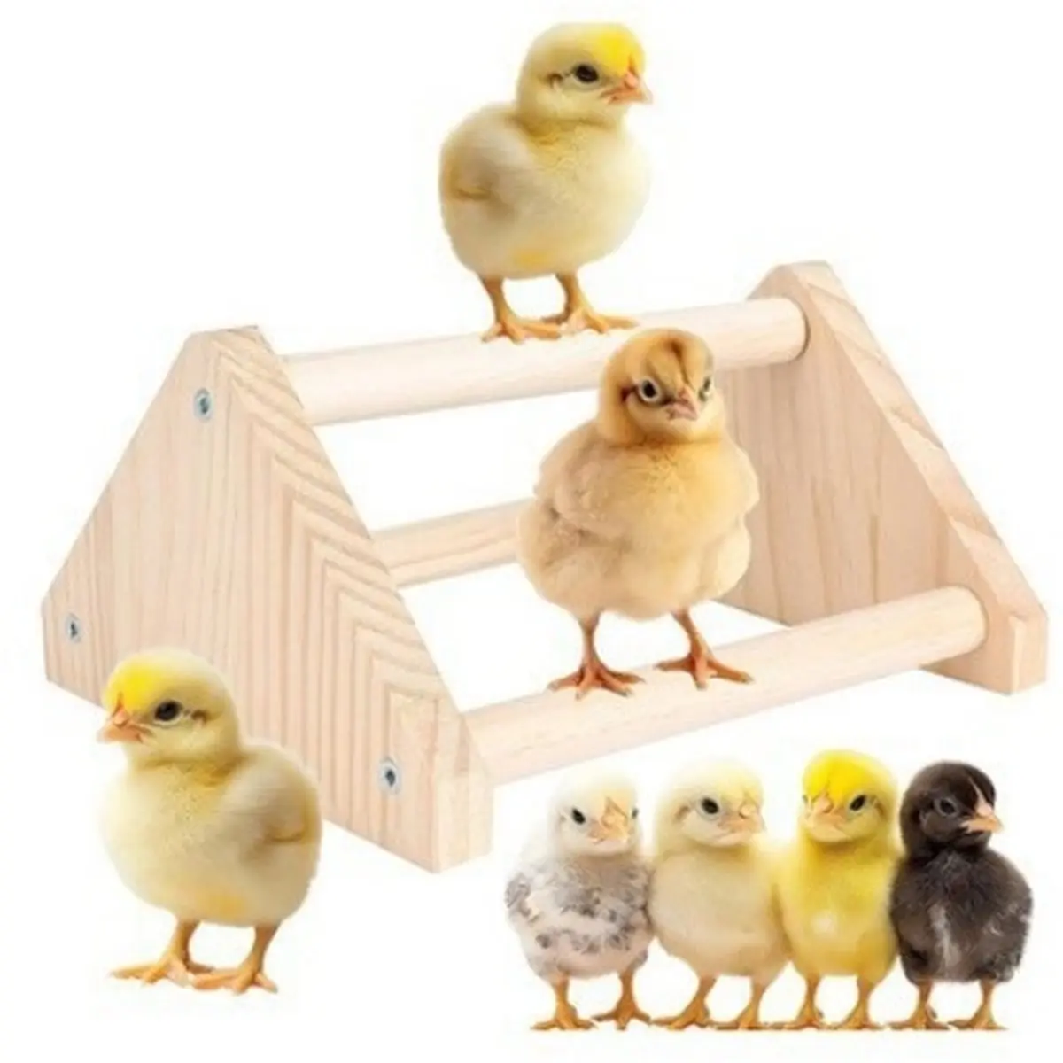 Home Tool Wooden Parrot Stand, Rooster and Hen Training Stand, Bird Stand, Chick Stand, Chicken Stand, Sturdy