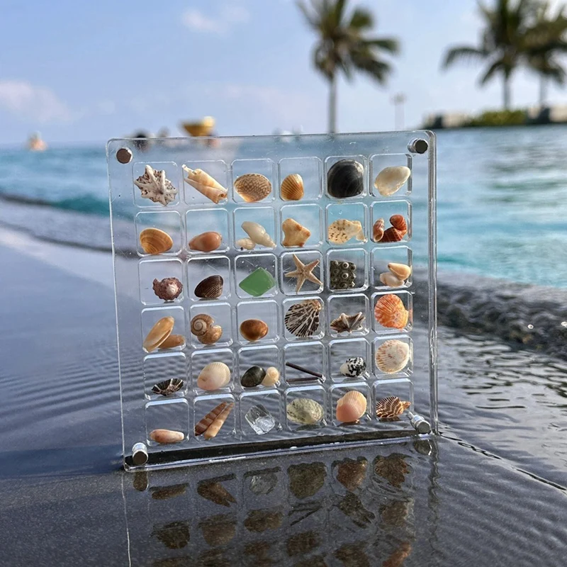 2PCS 36Grids Acrylic Clear Magnetic Seashell Display Box, Diamond Gemstone Beads Storage Display Organizer Box