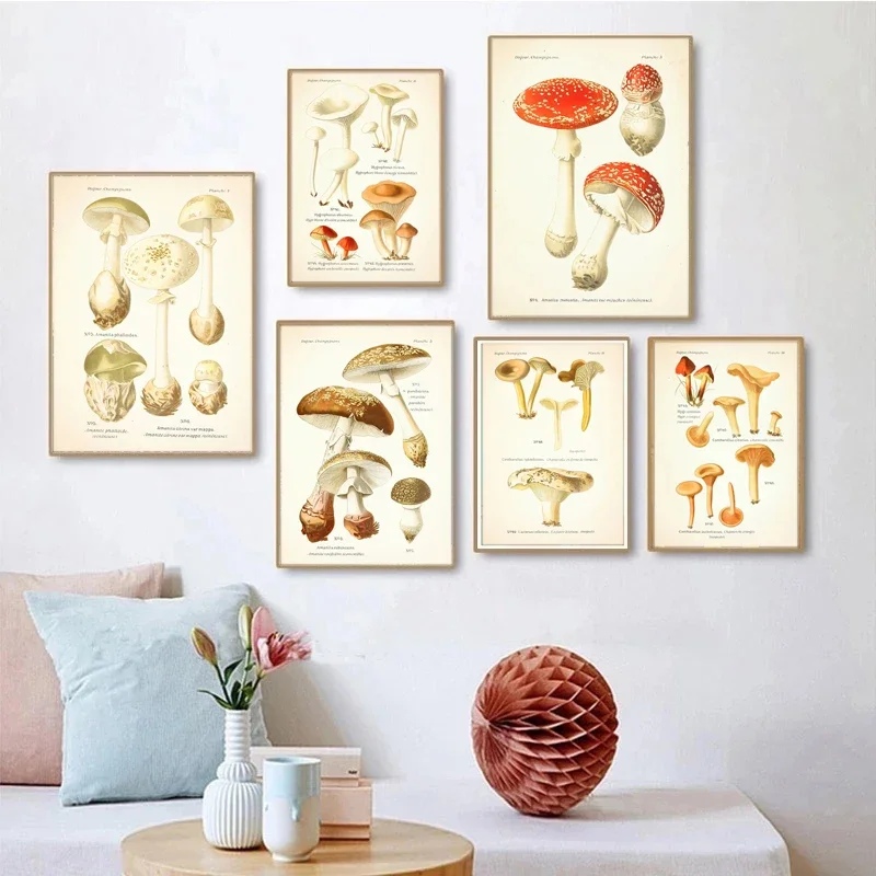 Vintage Edible and Poisonous Mushroom Botanical Canvas Painting Posters and Prints Wall Art Picture for Living Room Decoration