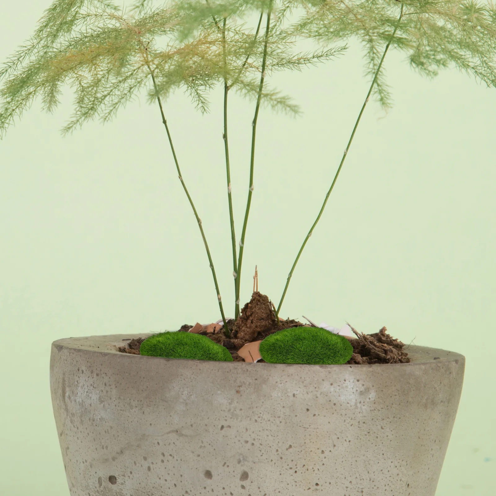 

10Pcs Artificial Moss Stones Realistic Decorative Moss Filler for Planters Indoor Plant Pot Filling Craft Fairy Garden Ornaments