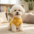 Only Sweater Yellow