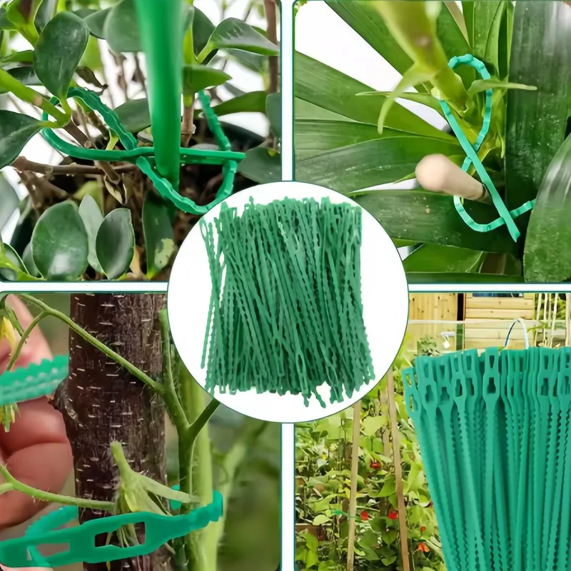 26Pcs17cmFishbone Cable Tie SelfLockAdjustableAndRepeatUseUse PlasticMaterialSturdyDurable Suitable forGardeningPlantClimbing