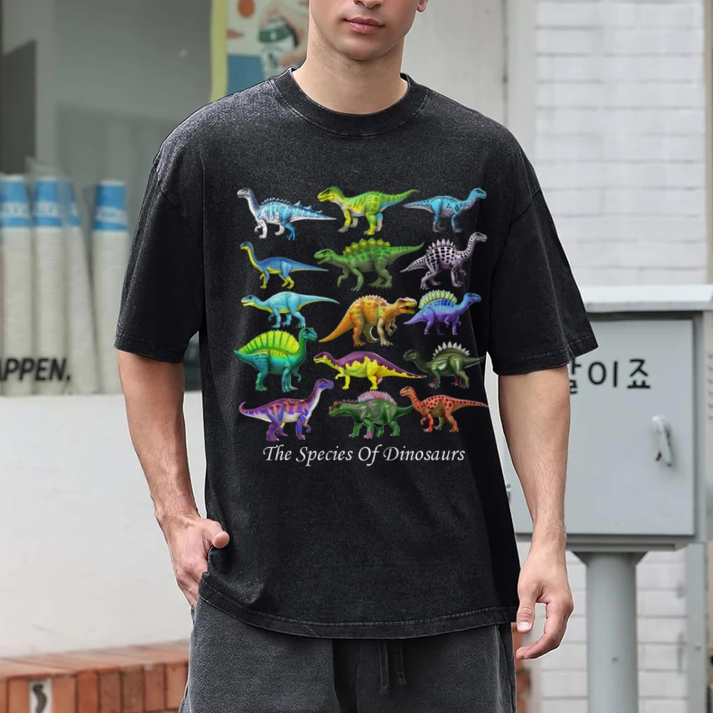 Ancient Dinosaur Short-Sleeved Shirt Hip Hop Streetwear Women 90s Vintage Washed T-shirts Harajuku Cotton Casual Tops Tees