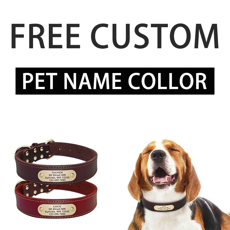 

Custom Leather Dog Collar Leash Set Personalized Pet Collar Pet ID Tag Leash Free Engraved Nameplate For Your Pet